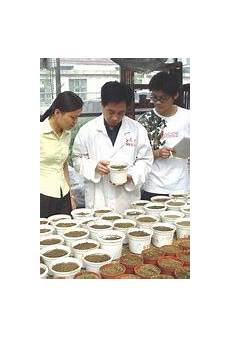 但市场上却没有跑出新的选手